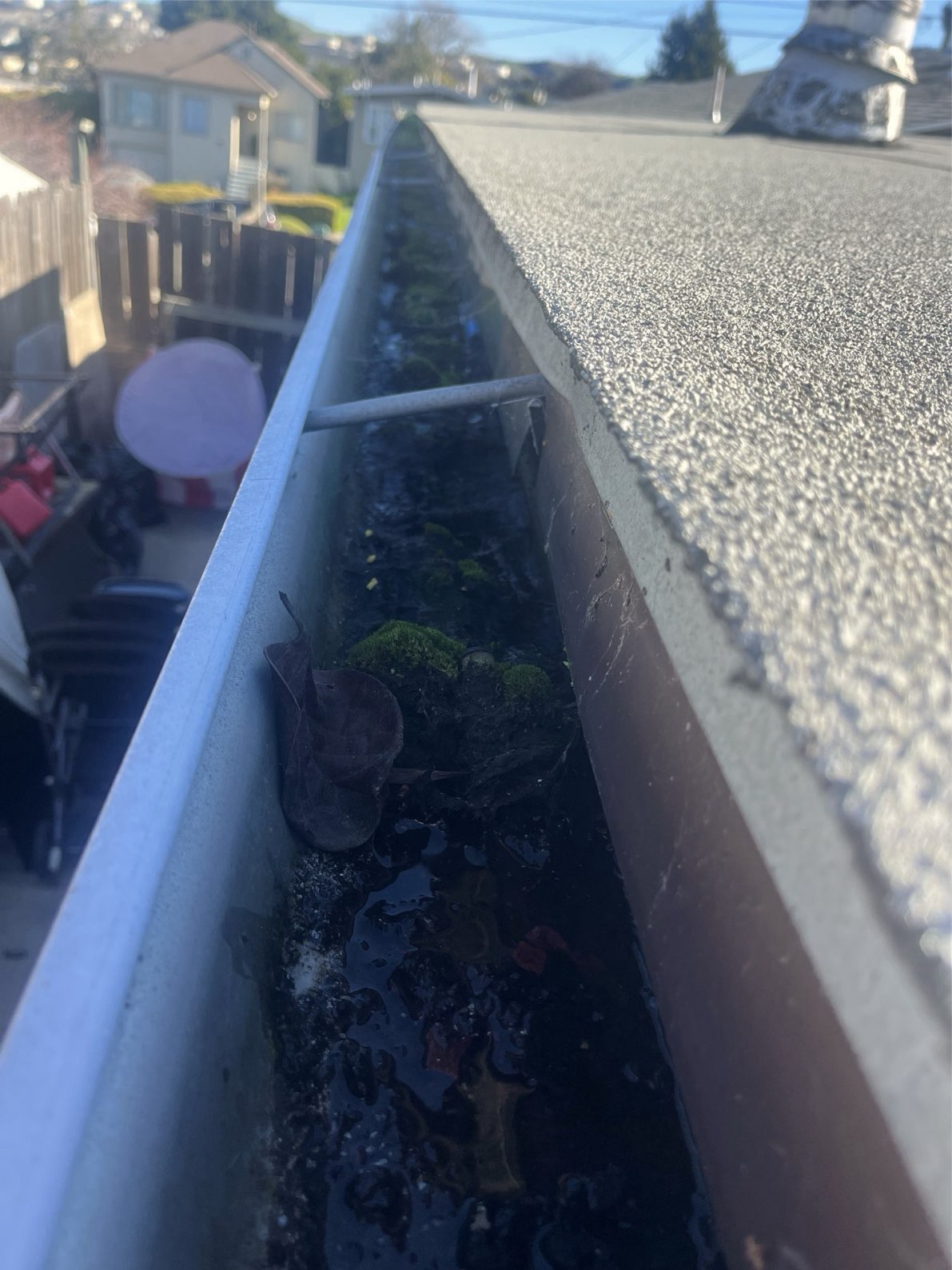 Dense organic debris inside gutter channel — compacted sludge layer providing ideal conditions for plant growth