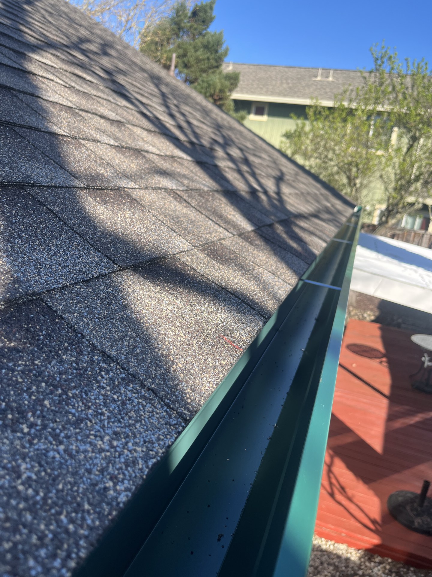 Heavy debris accumulation under gutter guard system — moss colonizing surface after multiple storm seasons without cleaning