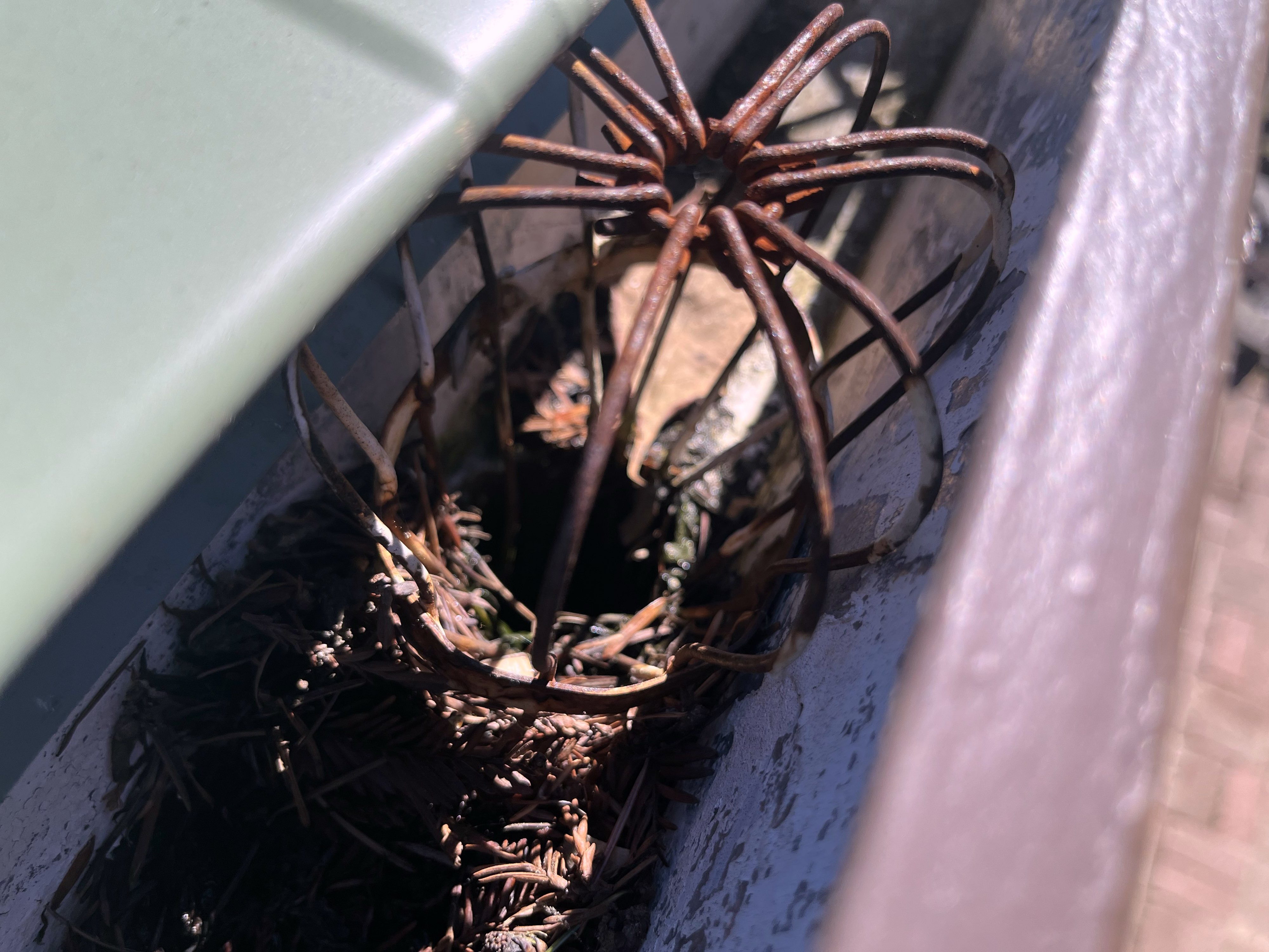 Gutter section pulling away from fascia at joint — visible gap and separation indicating lost pitch and hanger failure