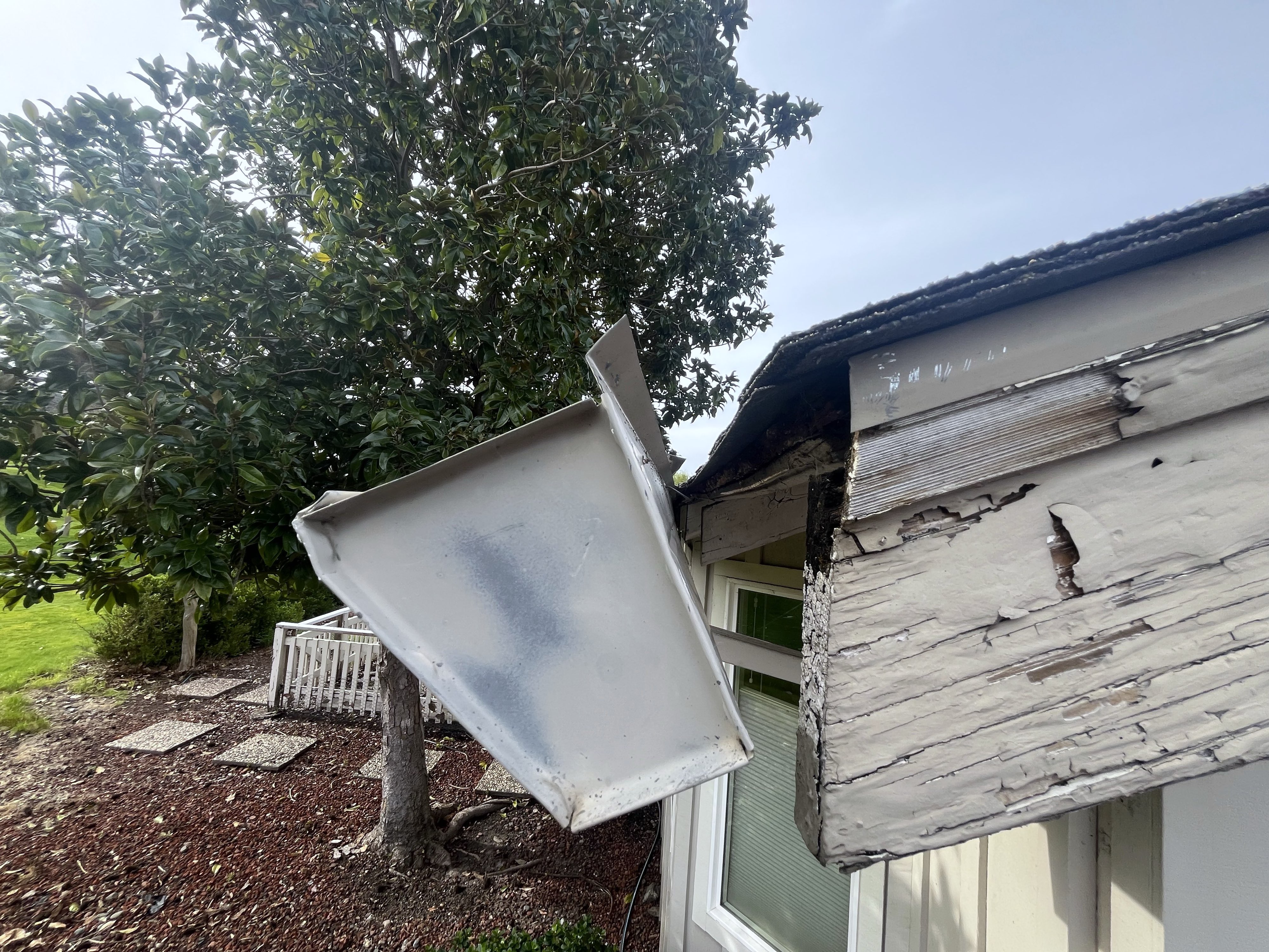Complete gutter detachment with fascia rot exposed behind the former attachment zone — a Tier 5 finding that lives above every homeowner's eye line and only reveals itself at ladder height.