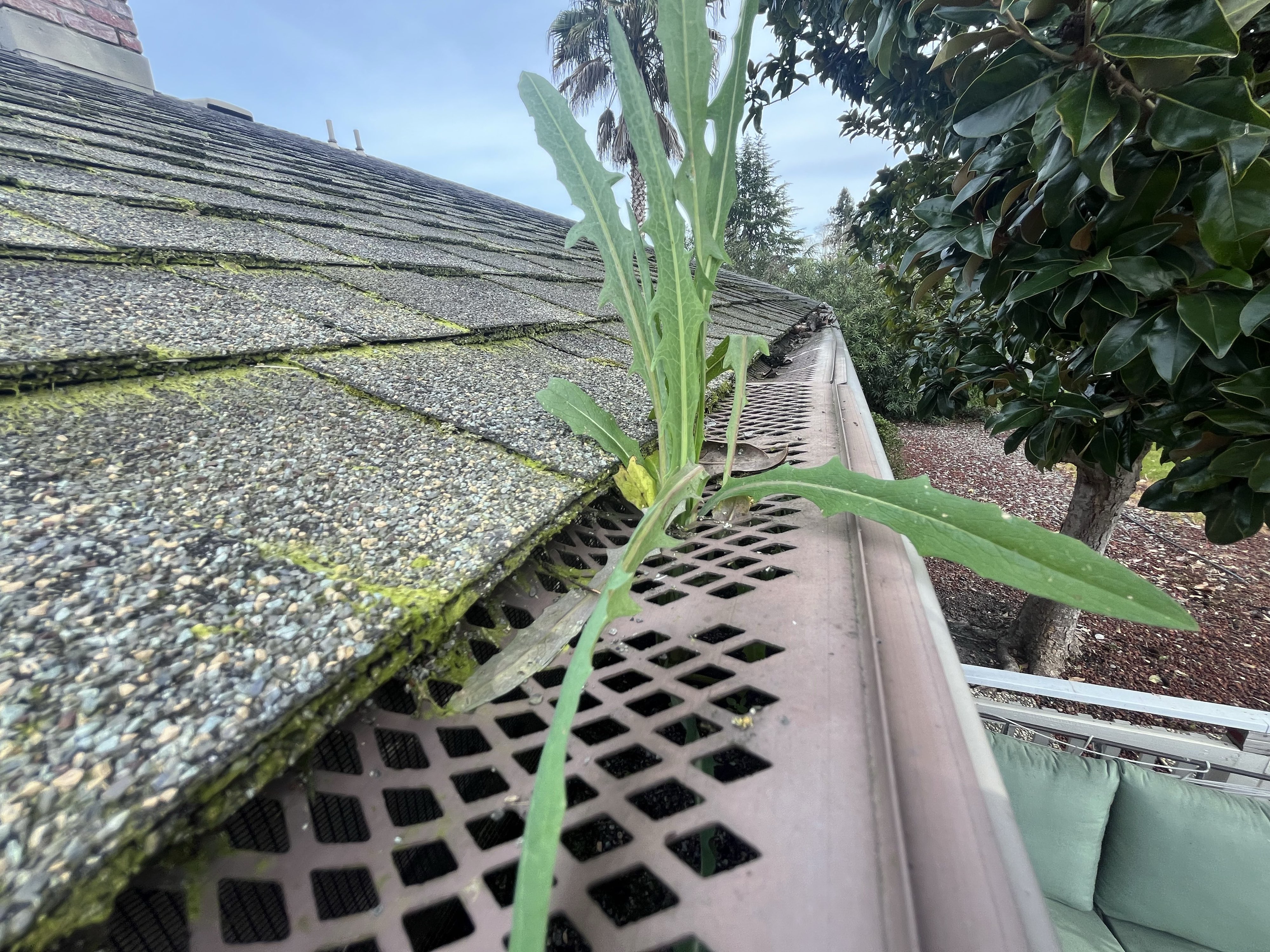 Tape measure showing two inches of accumulated debris packed behind a gutter guard — invisible from the ground