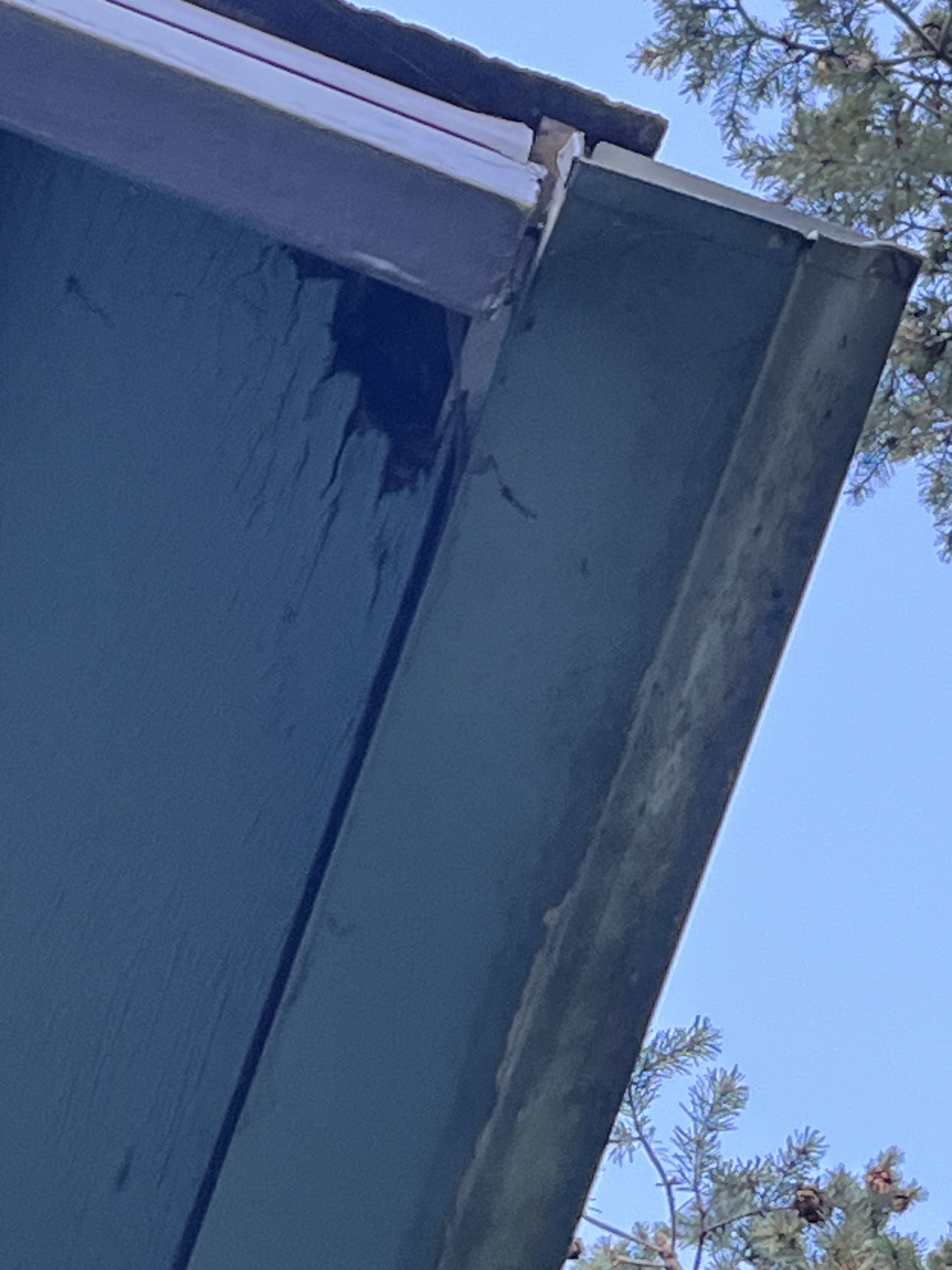 A single dark vertical streak running down the siding directly at a gutter corner where two sections meet — localized blockage redirecting water out at the same point every storm