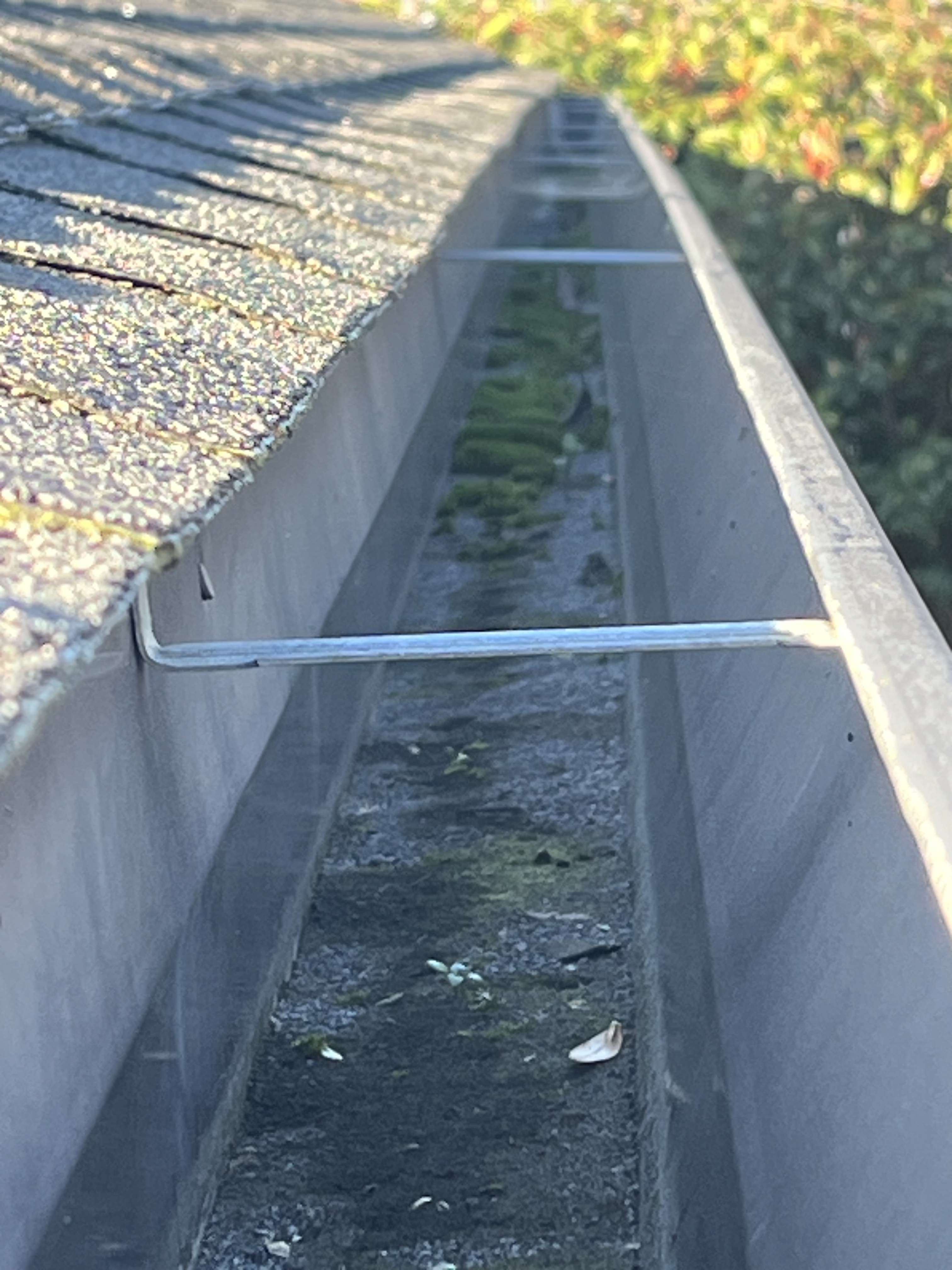 A bright green moss waterline running the full length of the back wall of a gutter — the cause of fascia rot before any visible damage to the wood