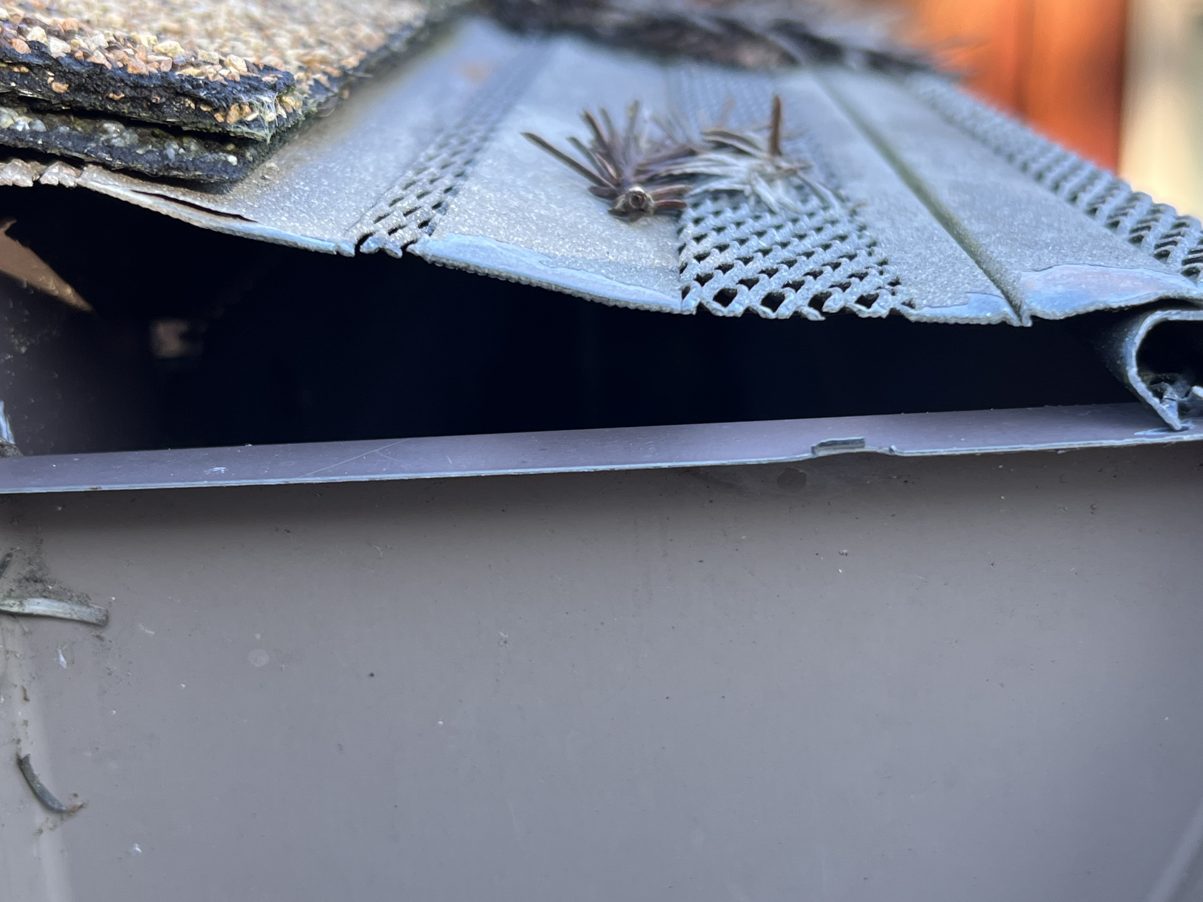 An older mesh-style gutter guard panel pushed back from its installed position, leaving the gutter channel fully exposed; a snail rests on the displaced panel