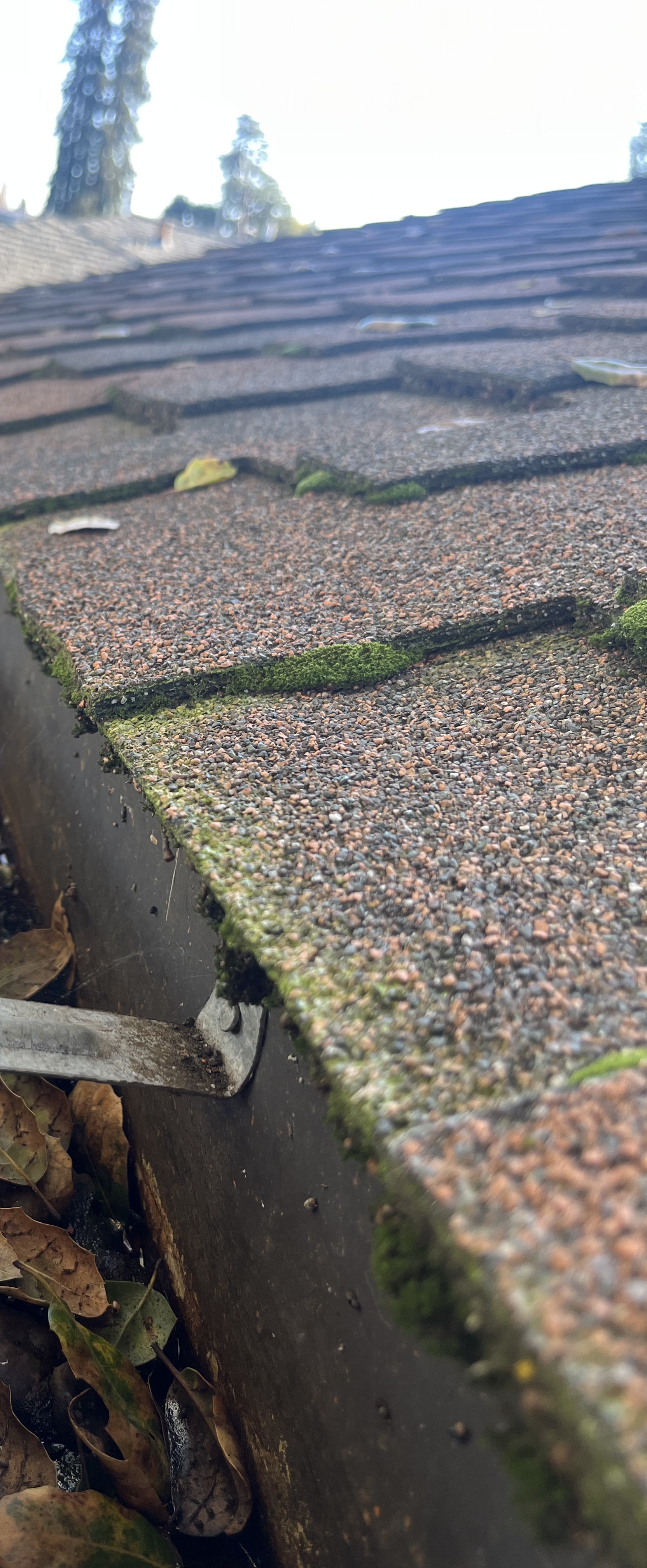 A hidden gutter bracket disconnected from its anchor — the moss waterline behind it shows how long water has been failing through the seal